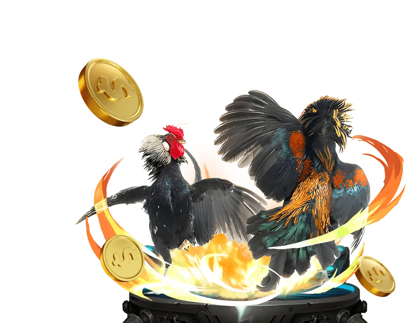 Cá cược bóng đá sôi động